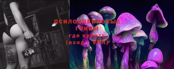 Альфа ПВП Армянск