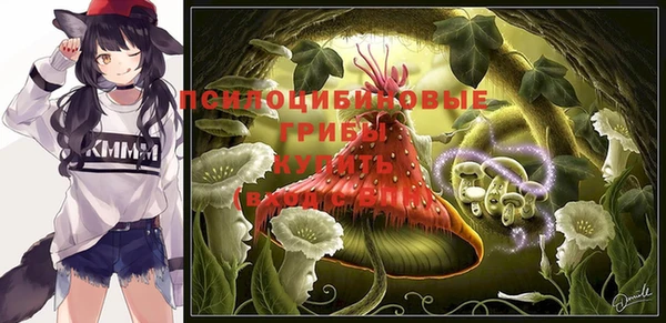 ГАЛЛЮЦИНОГЕННЫЕ ГРИБЫ Арсеньев