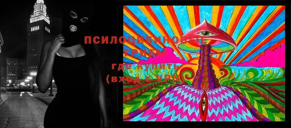 ГАЛЛЮЦИНОГЕННЫЕ ГРИБЫ Арсеньев